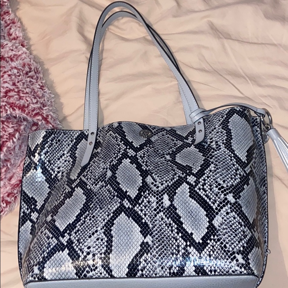 Snake skin purse
